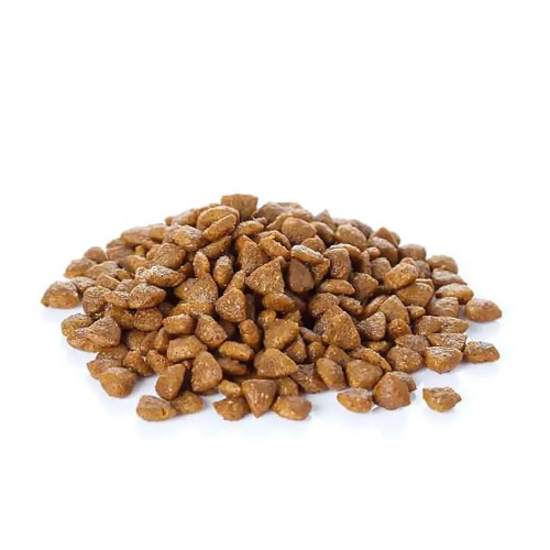 Banters Perro Adulto Raza Grande 15 Kg