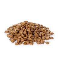 Banters Perro Adulto Raza Grande 15 Kg
