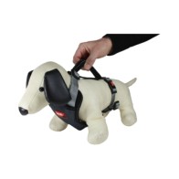 Three Point Harness for Pets Grey
