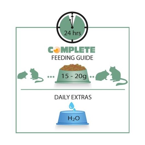 Complete Hamster & Gerbil Food 500g