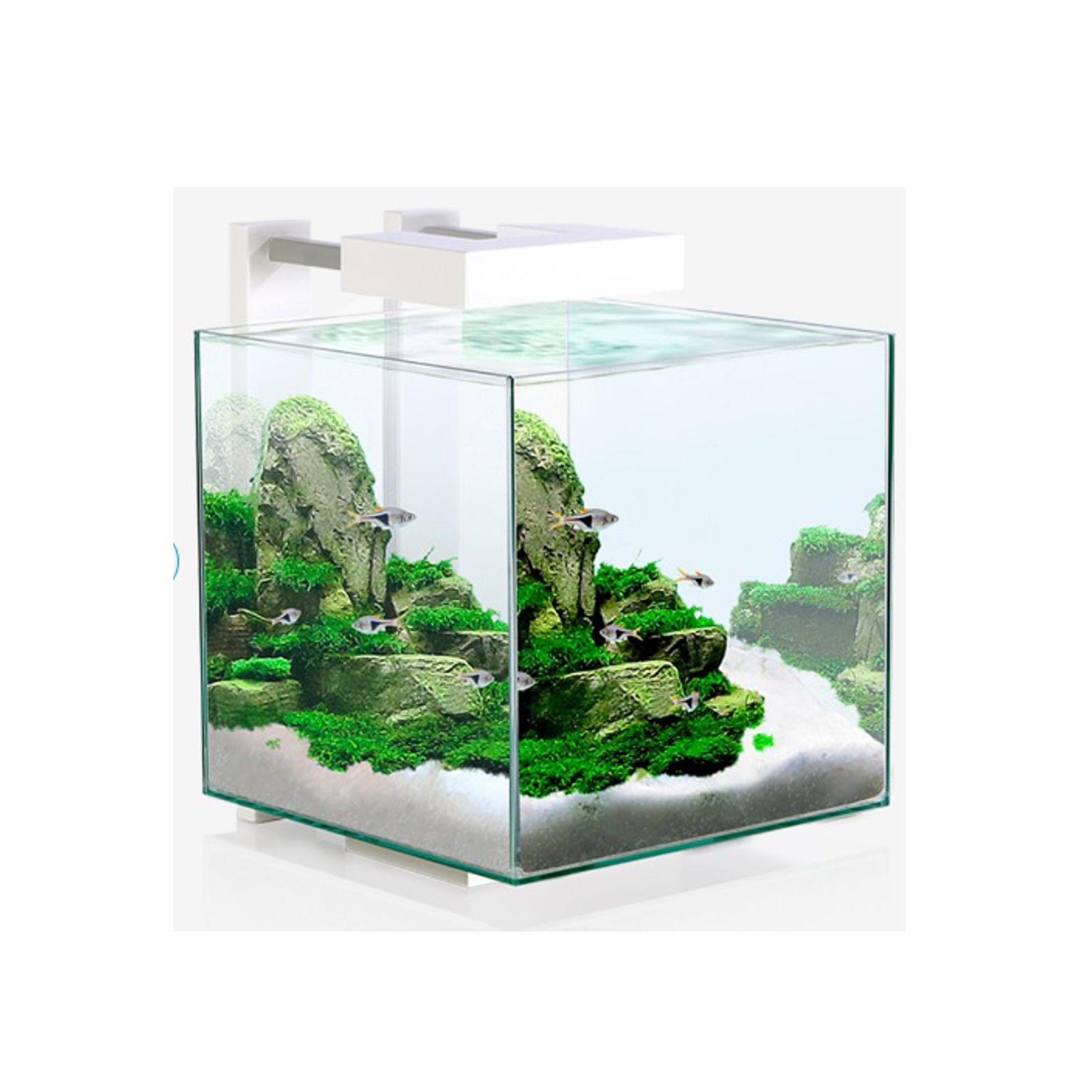 Acuario Cube Aqua 15 Led