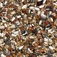 Mezcla para Loros Africanos 2.5kg para Aves Saludables