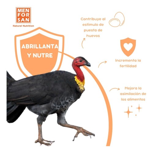 Menforsan Poultry Complementary Food 500ml