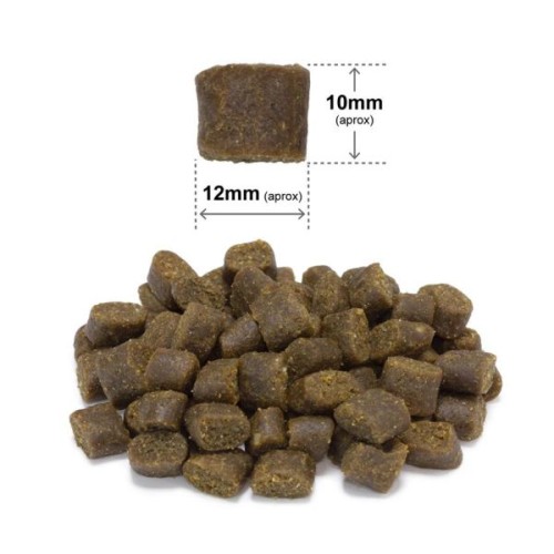Arquivet Fresh Ocean Fish - 2.5 Kg
