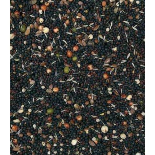 Vinci Germination Seeds 25 Kg