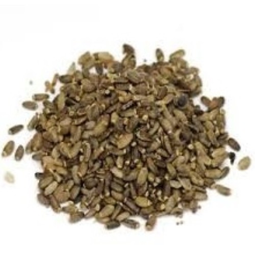 Cardo Mariano 800g tarrina Prodac