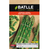 Mary Washington Green Asparagus Seeds for Planting