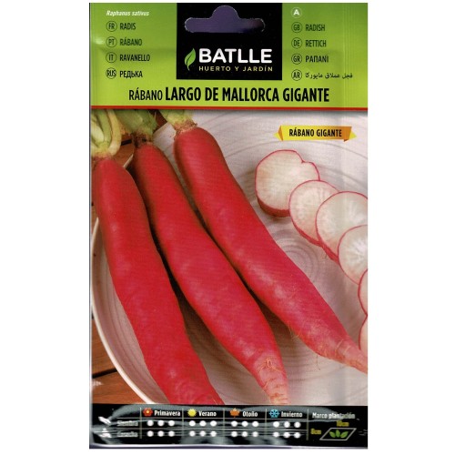 Giant Mallorca Radish Seeds