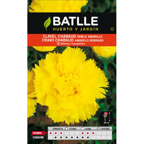 Chabaud Double Yellow Carnation Seeds for Garden