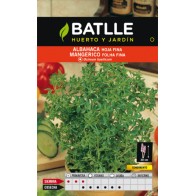 Fine Leaf Basil Annual Herb