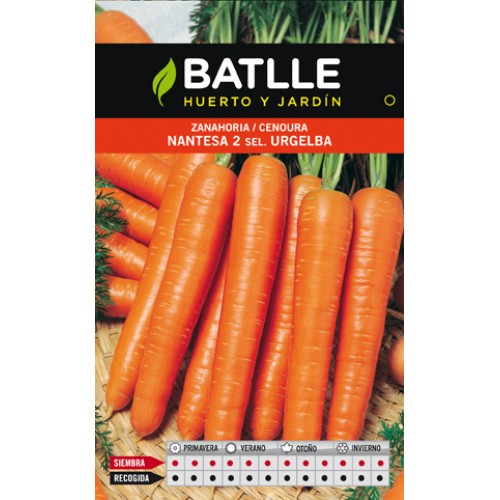 Nantes Carrot Urgelba Seed Packet for Easy Cultivation
