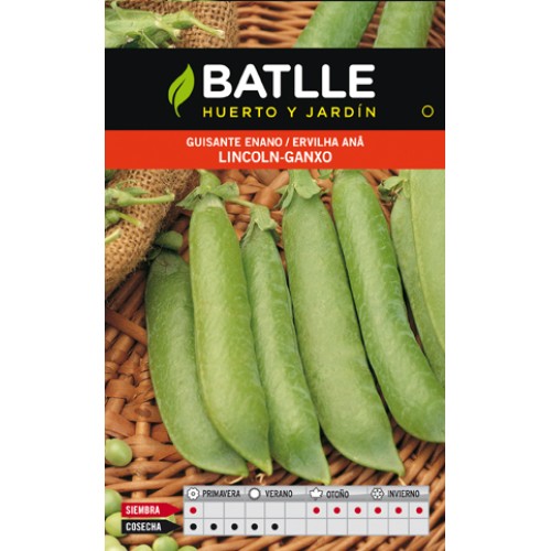 Lincoln Pea Seeds 250 Gr. - Sweet and Tender