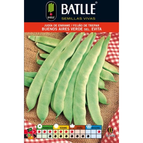 Green Bean Buenos Aires Ver.s.evita