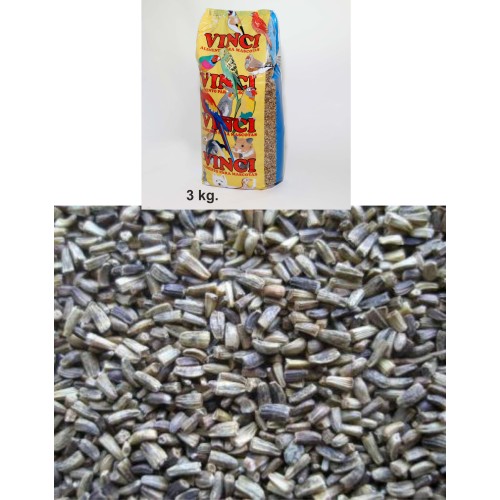 Escarola Seeds 3 Kg for Birds