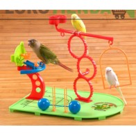 Basketball Park for Parakeets, Lovebirds