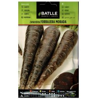 Purple Forage Carrot Seed