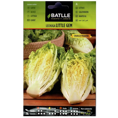 Little Gem Lettuce for Culinary Use