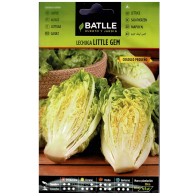 Little Gem Lettuce for Culinary Use