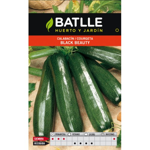 Black Beauty Zucchini Seeds for Garden