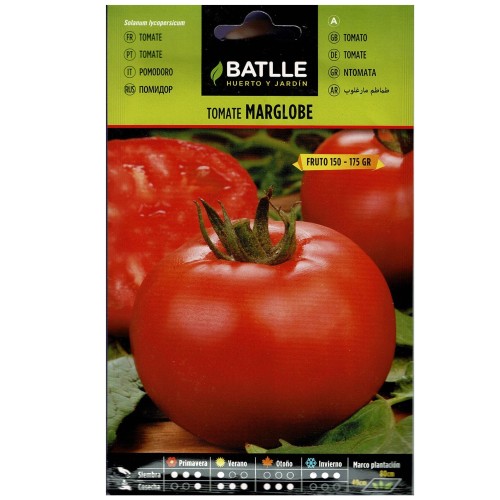 Marglobe Tomato Seeds