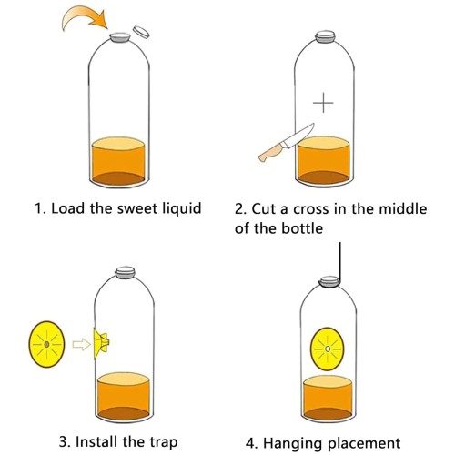 Eco-Friendly Wasp Trap Kit 4 Units