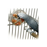 Interactive Wheel Toy for Sun Parrots
