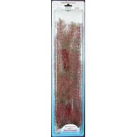 Foxtail Plant Plus 46cm