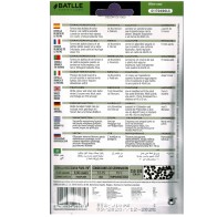 Cebolla Blanca de la Reina Planta Culinaria