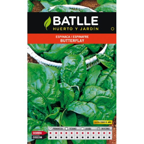Semillas de Espinaca Butterflay - Nutritiva y Fácil de Cultivar