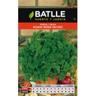 Dark Green Curly Parsley Plant