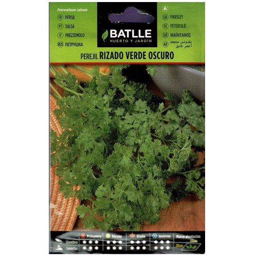 Dark Green Curly Parsley Plant