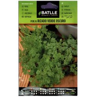 Dark Green Curly Parsley Plant