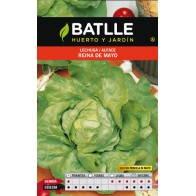 Mayo Princess Lettuce Seeds