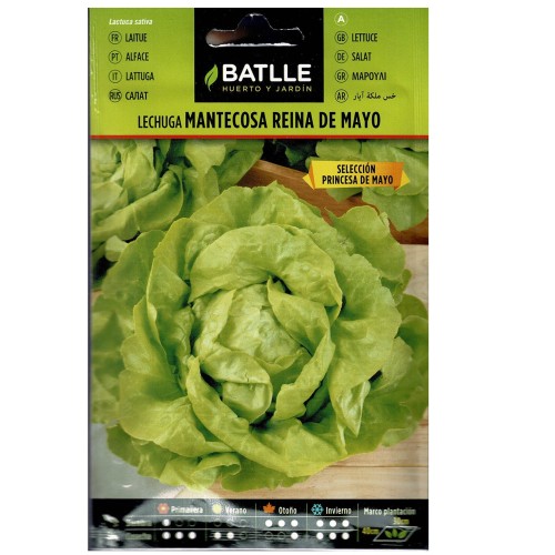 Mayo Princess Lettuce Seeds