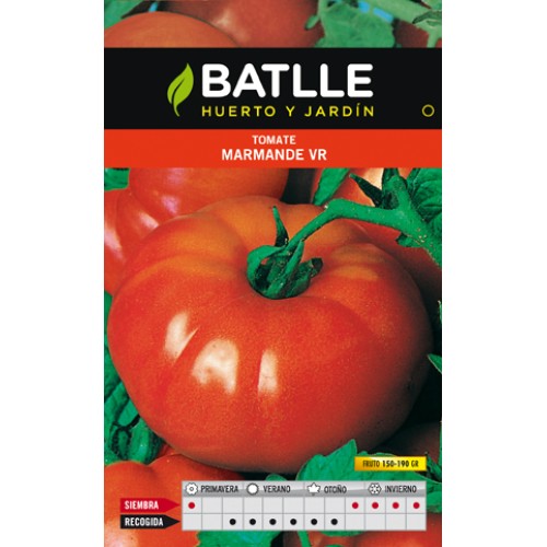 Tomato Marmande Vr Holland Packet