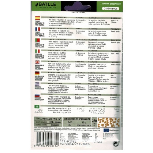 Tomato Marmande Vr Holland Packet