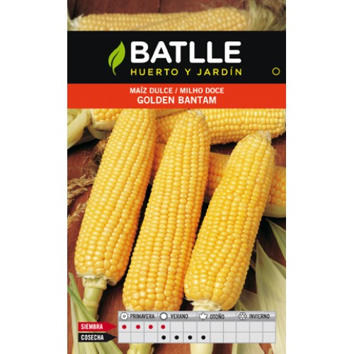 Golden Bantam Sweet Corn Seed Pack