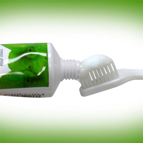 Dog Toothpaste 100 Gr Mint