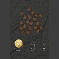 Optima Nova Puppy Digestive Food