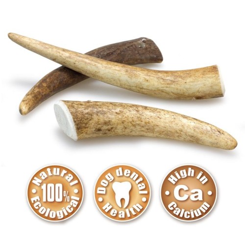 Deer Antler S 15-39g