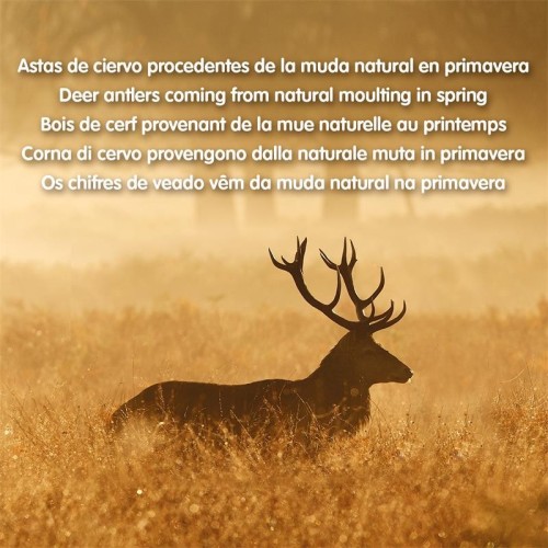 Deer Antler S 15-39g