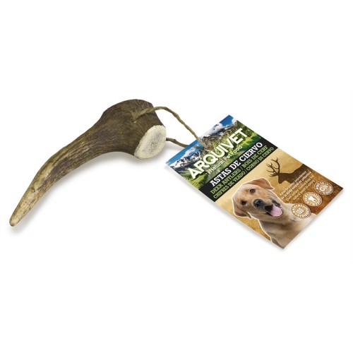 Deer Antler M 40-75 Gr