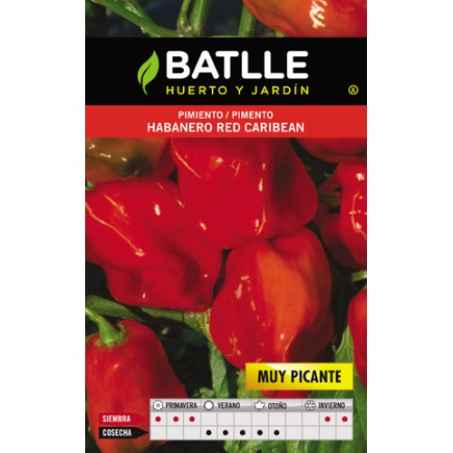Habanero Red Caribbean Spicy Chili Pepper
