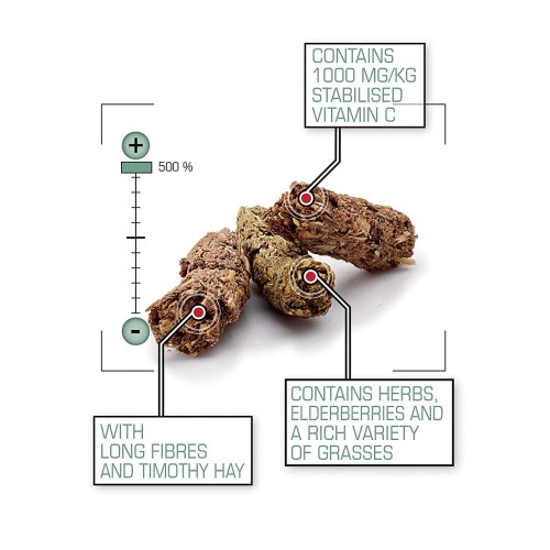 Cavia Complete 500g by Versele Laga