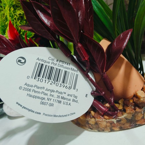 Planta Y Vasija C/base 20 Cm Difusor