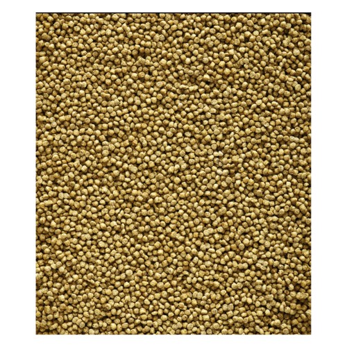 Nutribird C19 Alimento Original 3 Kg