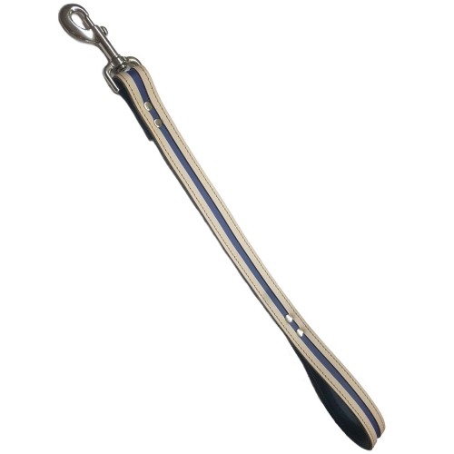 Short Binding 2.5cm Model Via Red