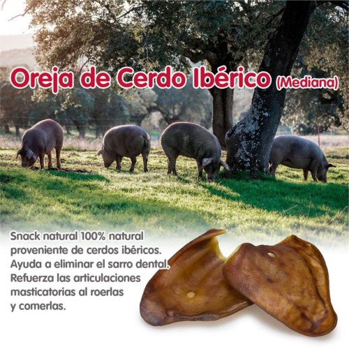 Medium Iberian Pig Ears 30 pcs