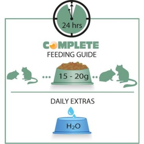 Complete Hamster & Gerbil Food 500g