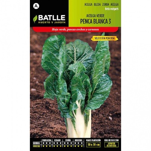 White Green Swiss Chard Seed Packet